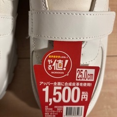 安全靴25.0の画像