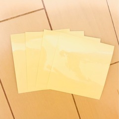 スイミング　アームヘルパー　恐竜柄　おまけ付き
の画像