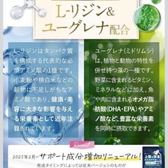 【新品】ネムピュア 睡眠 トリプトファン GABA テアニン サプリ 快眠 安眠 休息 リラックス 眠活 睡眠サポート ストレス 寝つきの画像