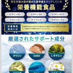 【新品】ネムピュア 睡眠 トリプトファン GABA テアニン サプリ 快眠 安眠 休息 リラックス 眠活 睡眠サポート ストレス 寝つきの画像