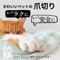 爪切り　ペット　わんちゃん猫ちゃんの画像