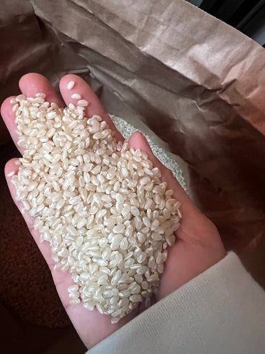 キヌヒカリ　玄米　お米　新米　30キロ