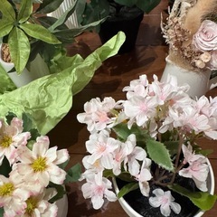 IKEA 造花セットの画像