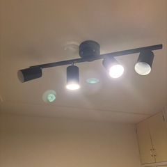 シーリングスポットライト　黒の画像