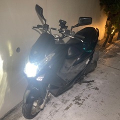 マジェスティS
の画像