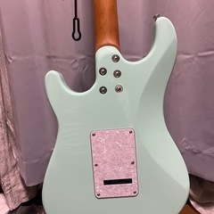 PLAYTECH ( プレイテック )  / ST500 Maple Surf Green の画像