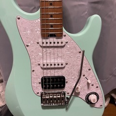 PLAYTECH ( プレイテック )  / ST500 Maple Surf Green の画像