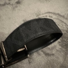 マイケルコースベルトの画像