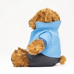 [未開封]劇場版『名探偵コナン 100 万ドルの五稜星』テディベア(服部平次ver.)【セブンネット限定】の画像