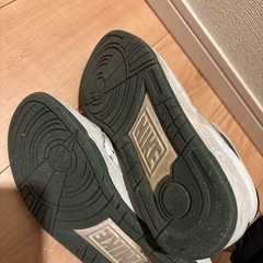 NIKE フルフォースローの画像