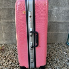 【即購入OK】 大容量スーツケースLの画像