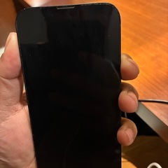 iPhone 13の画像