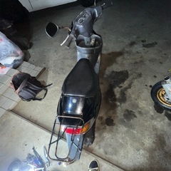 セピア50売りの画像