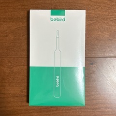 カメラ付き耳かき❣️1000万画素 3.1mm極細レンズ LEDライト 付属品有の画像