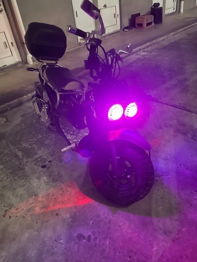 ホンダズーマー