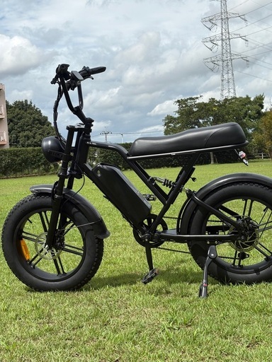 電動アシスト e-bike 未使用