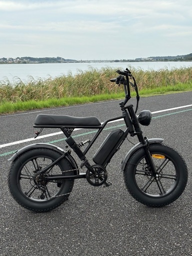  電動アシスト e-bike 未使用 