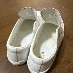 コンバース　24.5 cmの画像