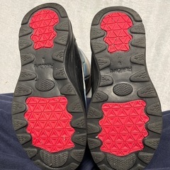 ケベック　Lサイズの画像