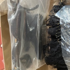 ブライスドール アリーガブリエル 本体の画像