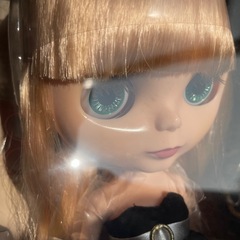 ブライスドール アリーガブリエル 本体の画像