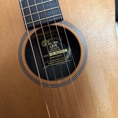 Martin LX1Eの画像