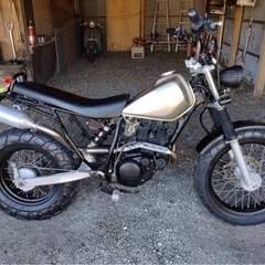 YAMAHA TW200の画像