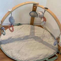 インジェニュイティ（ Ingenuity ） コージースポット ...