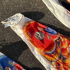 俊峰　こいのぼり　本体のみ　1.5m　の画像