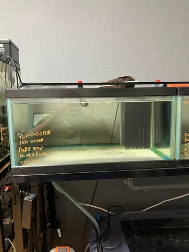 60センチワイドロー水槽連結セット