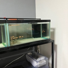 60センチワイドロー水槽連結セットの画像