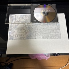 レディ・プレイヤー1 ブルーレイ&DVDセットのDVDのみの画像