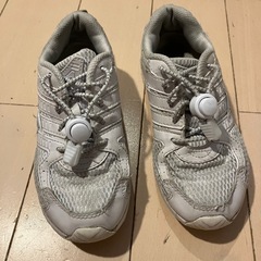 瞬足　20cm ゴム紐の画像