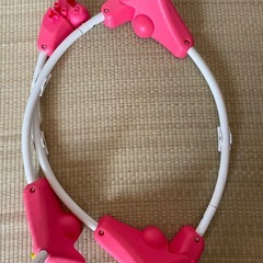 フィッシャープライス　ジャンパルー　の画像