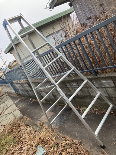 長谷川　大型脚立　天板までの高さ230
