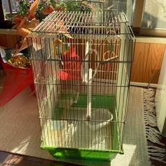鳥かごの画像