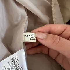 earth ワンピースの画像
