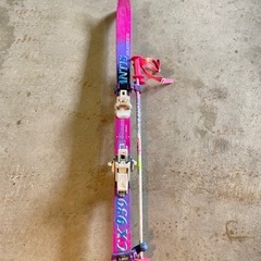 スキース&ティックの画像