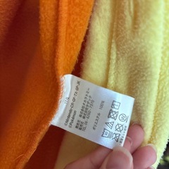 ポケモン　リザードン　着ぐるみの画像