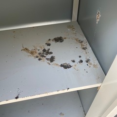 鍵付物置の画像