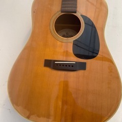 Morris W-20ギターの画像
