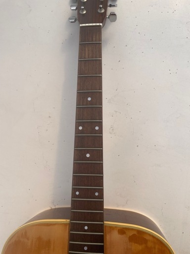 Morris W-20ギター