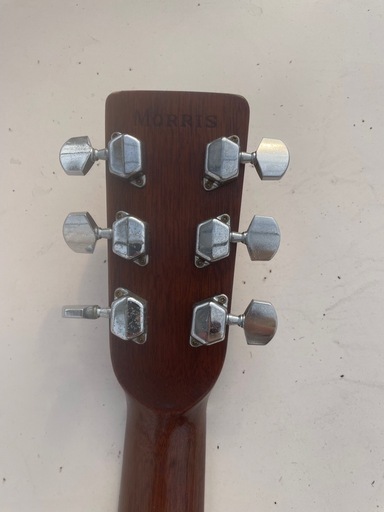 Morris W-20ギター