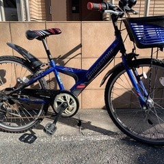 ロードバイクとマウンテンバイクの画像