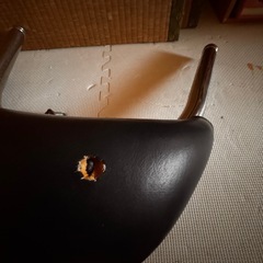 シグナスバックレストの画像