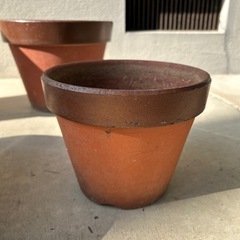 鉢まとめの画像