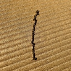 ウォレットチェーン　シルバー　メガネチェーン　ゴールドの画像