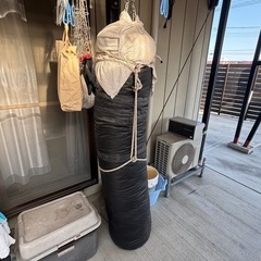 サンドバッグ　イサミの画像