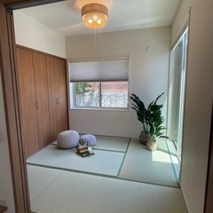 フェイク観葉植物の画像