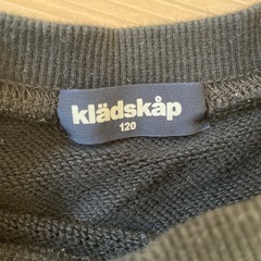 120　klädskaap 恐竜 トレーナーの画像